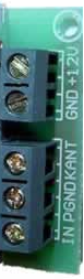 Zdjęcie pinów złącza P1 modułu Kanthall